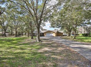 19706 Angel Ln, Odessa, FL 33556