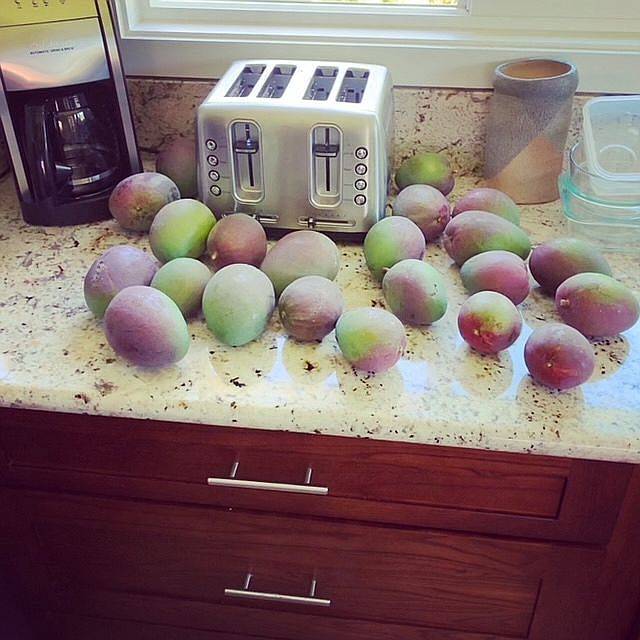 Kitchen / Mango
