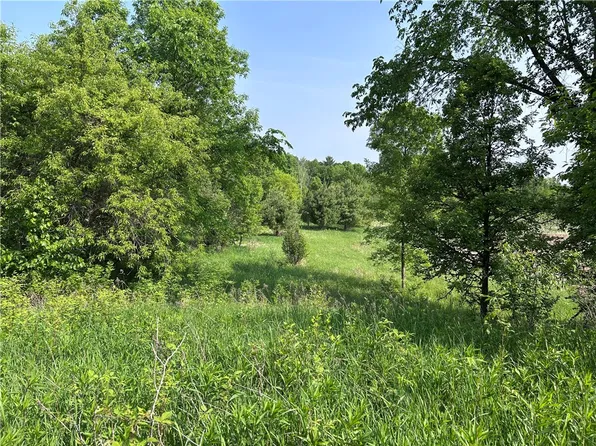 XXX Agate Road, Frederic, WI 54837