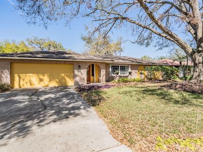 11528 Country Oaks Dr, Tampa, FL, 33618