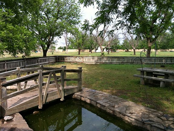 Lily Pond in backyard