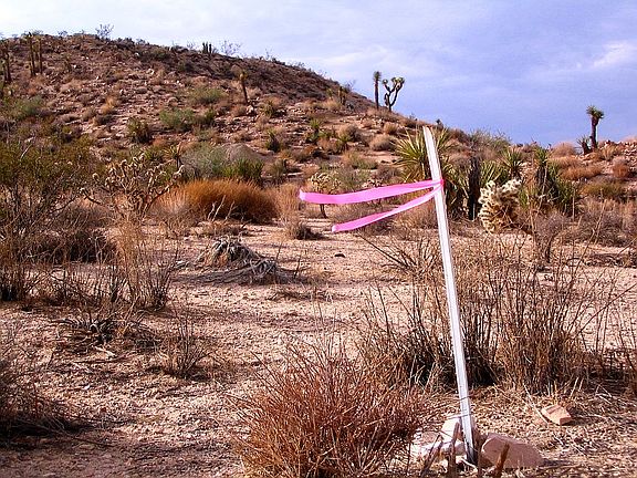 5th image of 57850 El Cielo Ave