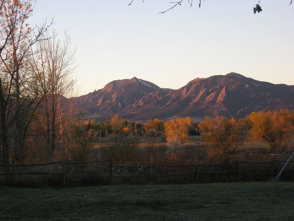 back yard view
