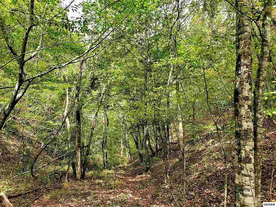 1st image of 0 Shell Mountain Rd Lot 42