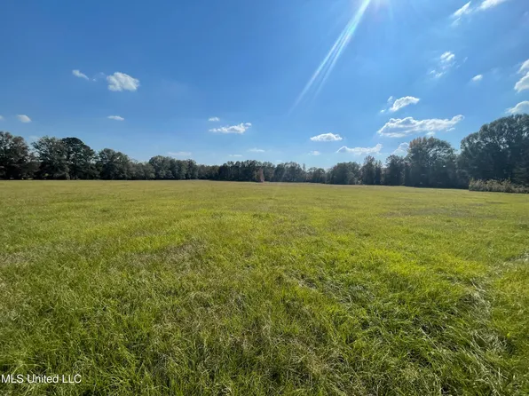 7180 Gunter Rd, Walnut Grove, MS 39189