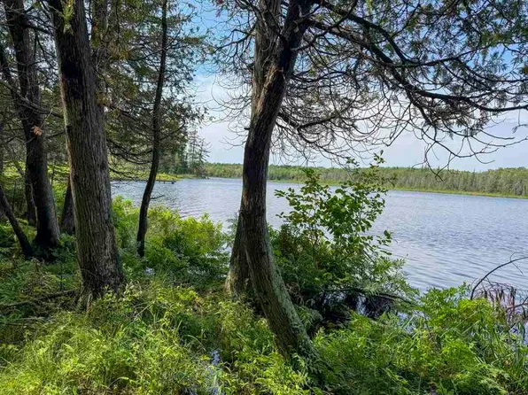 Hemlock Point Rd, Beaver Island, MI 49782