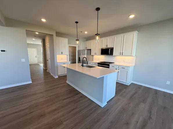 15165 Amber Fields Blvd, Rosemount, MN 55068