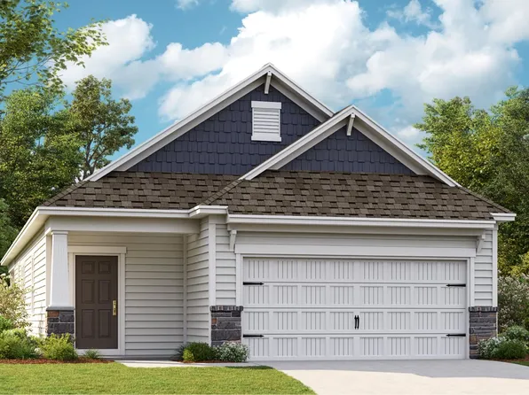 Chiffon II Plan, Roselyn : Garden