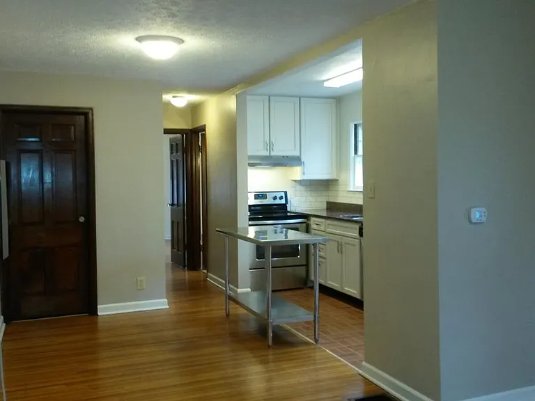Kitchen and hall view facing back of home.