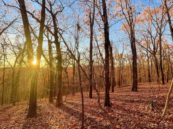 155 Bear Cub Trl, Kansas, OK 74347