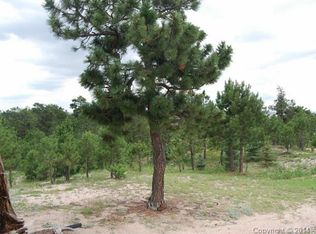 10775 S Forest Dr, Colorado Springs, CO 80908