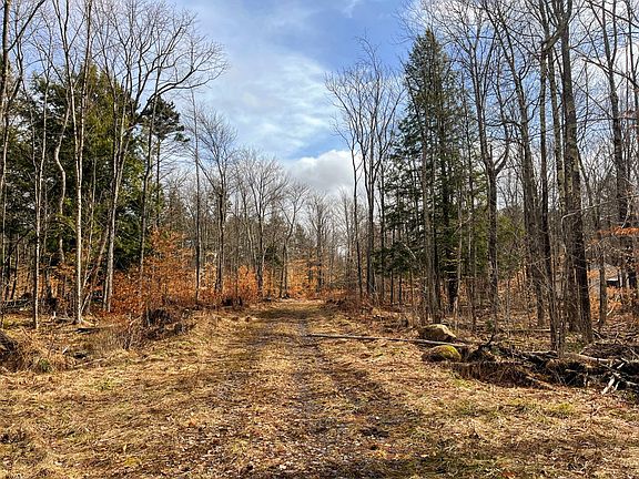 2nd image of 0 Blackmer Rd