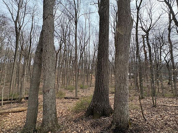 4th image of 57-58 Woodland Dr