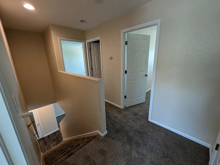 880 Macaw St — Photo 16