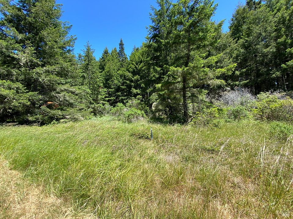 1st image of 36734 Timber Ridge Road