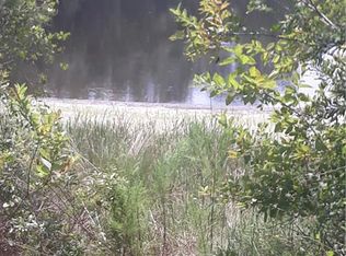 1225 Emmel Rd, Lake Helen, FL 32744