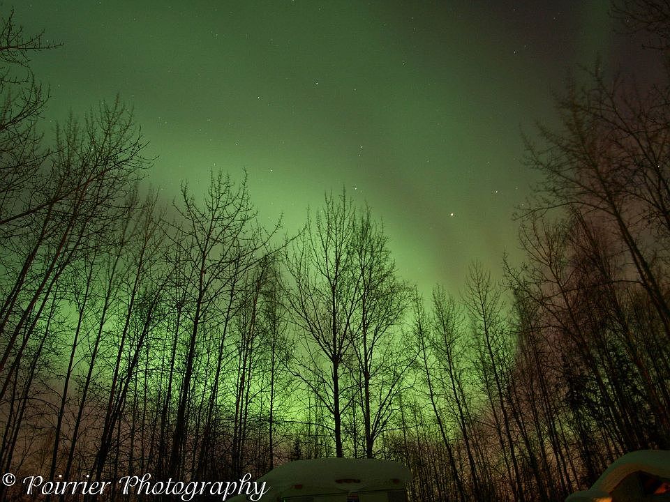 1st image of 2456 Tanana Dr