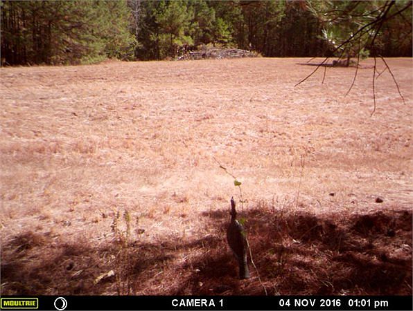 2nd image of 148 County Highway 33