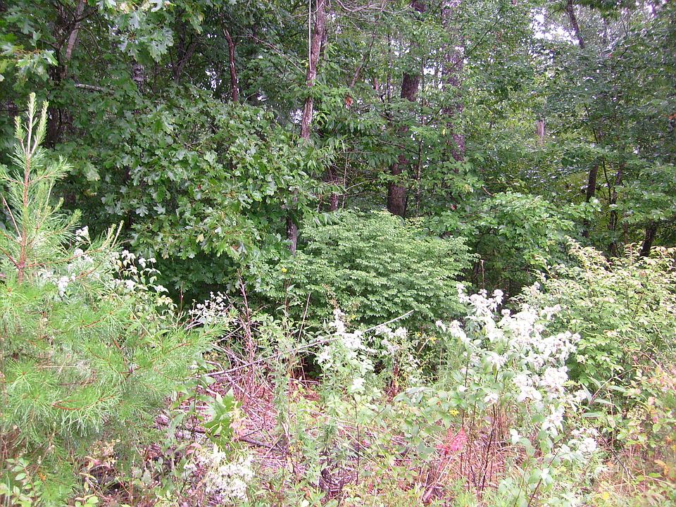 2nd image of 0 Spruce Loop