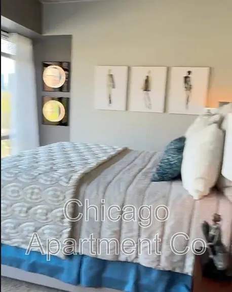 741 S Clark St #1010 — Photo 4