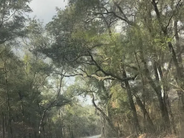 1 Pine Log Rd, Chipley, FL 32428