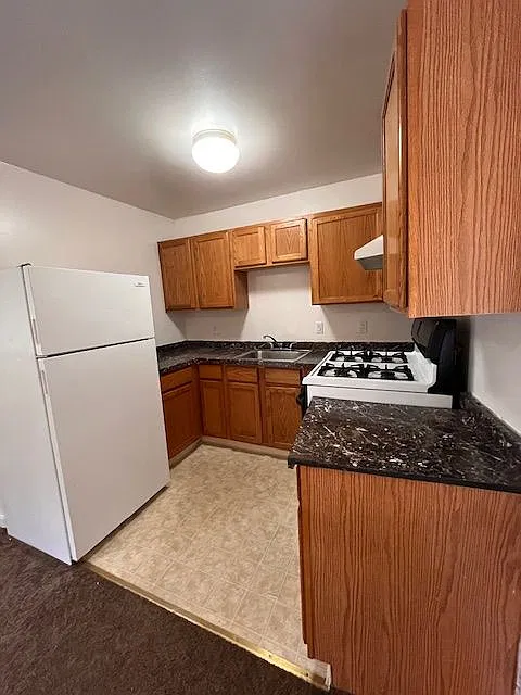Studio, 340 sqft, $1,250 — Photo 2