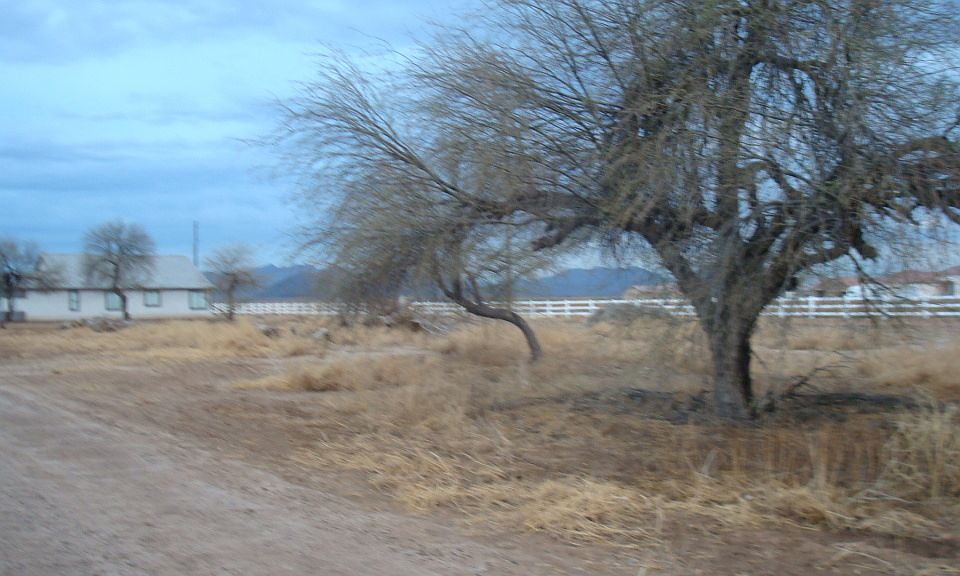 2nd image of XXXXX S 279 Avenue #0