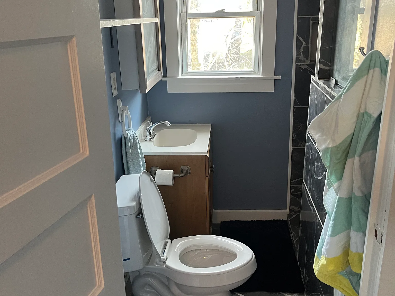 1 bed, 250 sqft, $1,250 — Photo 3