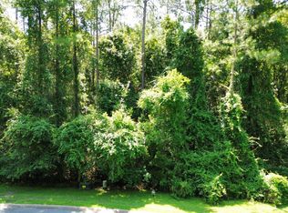 183 Sunrise Dr. In Misty Hbr, Woodbine, GA 31569
