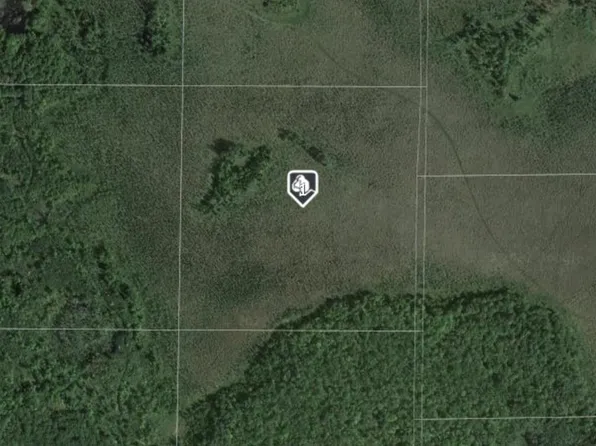 Ross, Aitkin, MN 56431