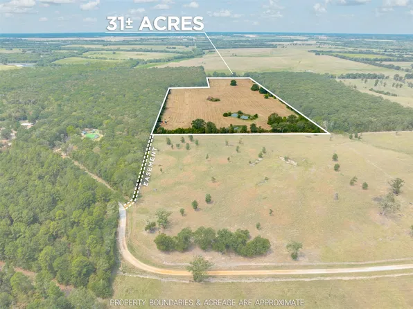 County Road 1305, Bogata, TX 75417