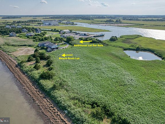 4th image of 111 Driftwood Cir