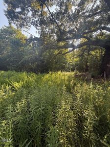 1111 Embro Vaughn Rd LOT I6-31, Macon, NC, 27551