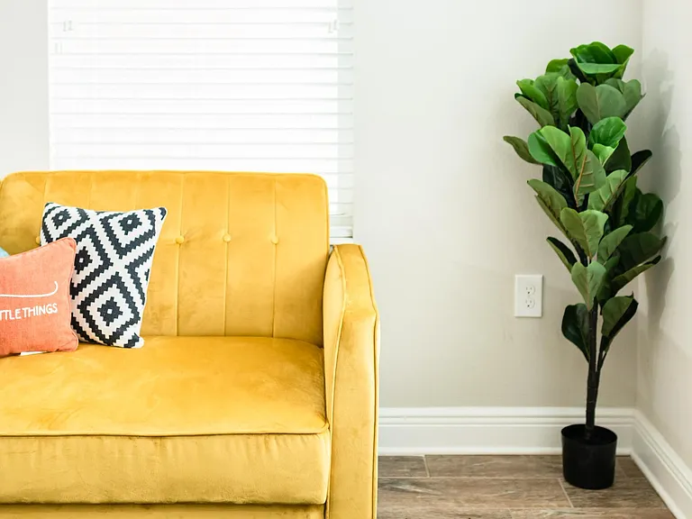Secondary Living Space