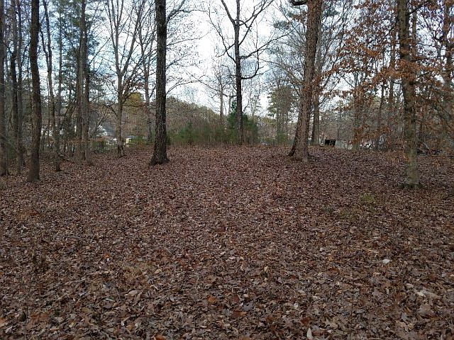 2nd image of 133 Horseshoe Bend Rd