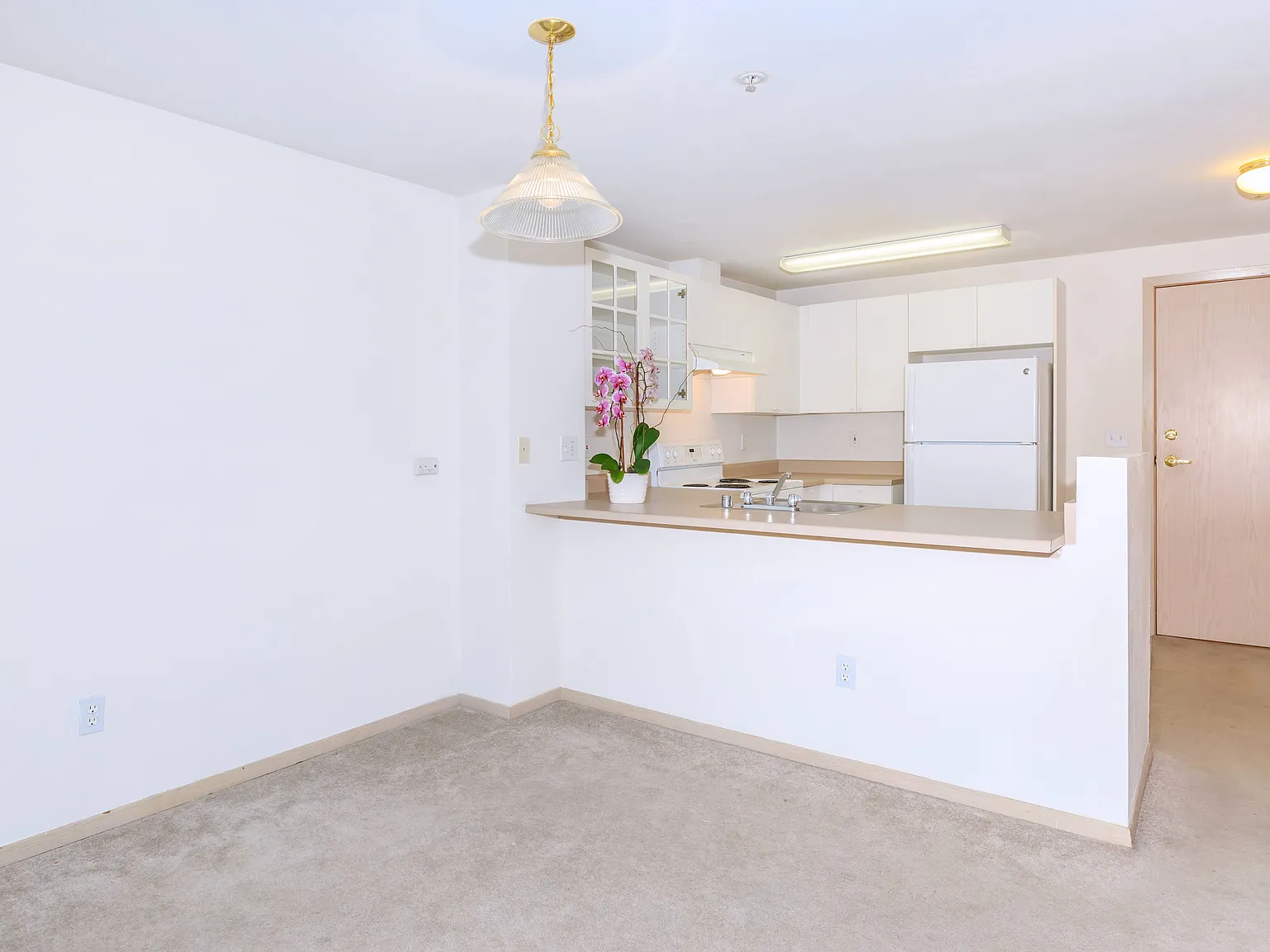 Clearwater and Star Apartments — Photo 2