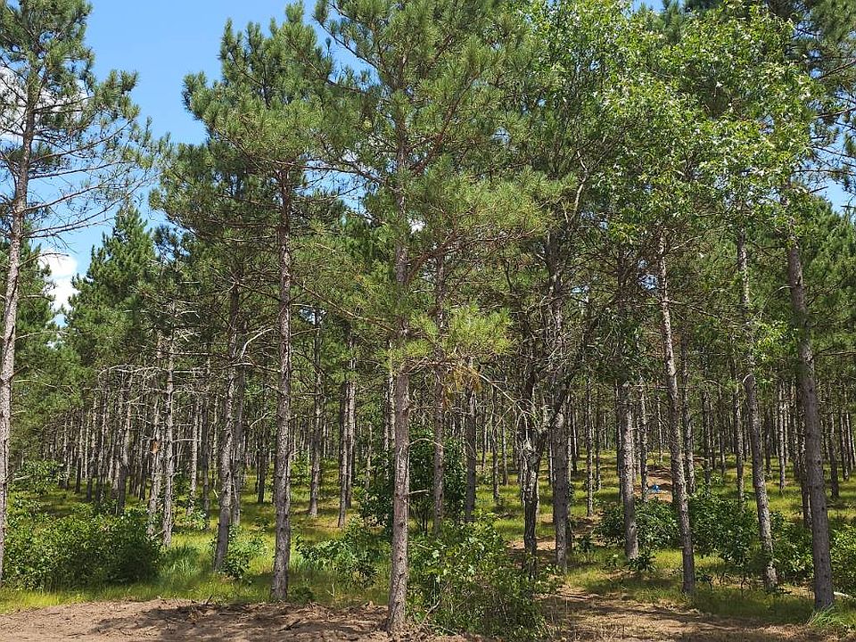 1st image of 7 Hidden Trl