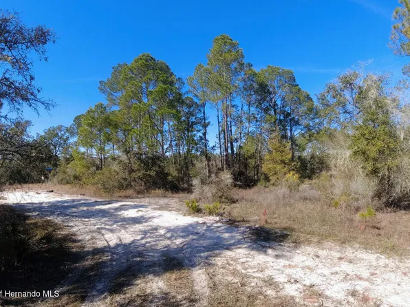 27 Cold Rock, Webster, FL 33597