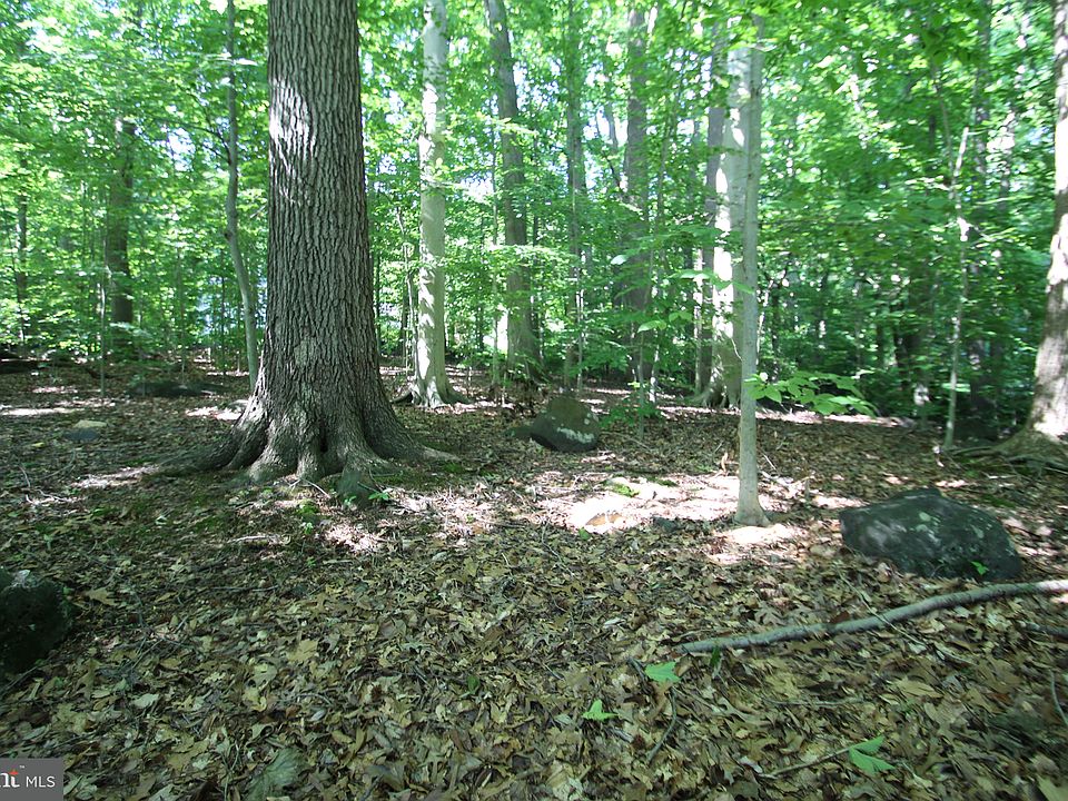 2nd image of 305 Lark Dr