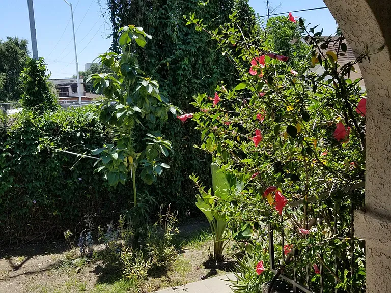 208 S Encinitas Ave — Photo 4