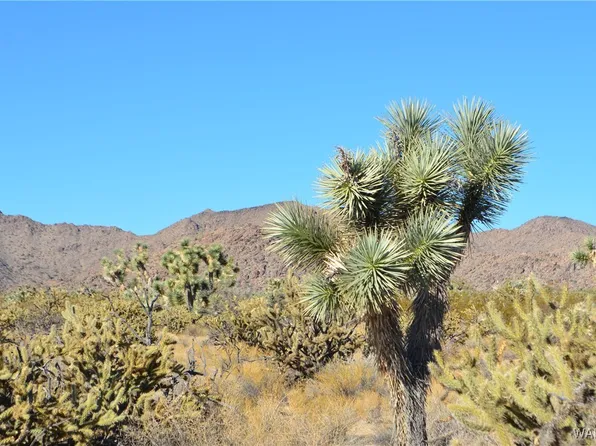 11900 S Alan Rd, Yucca, AZ 86438