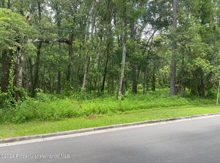 0 N Lemon Ave, Brooksville, FL 34601