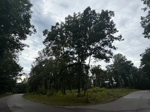 307 Ridgedale Dr, Roscommon, MI 48653