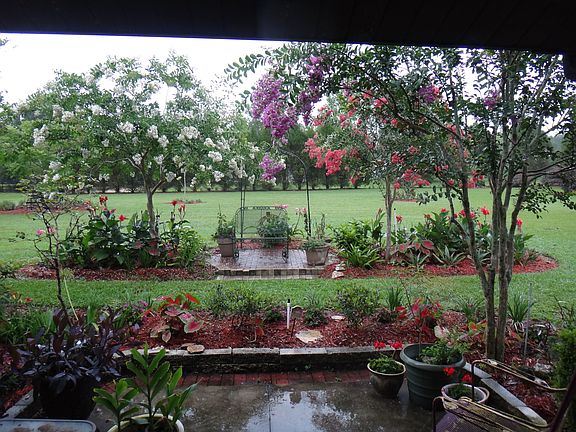 front door garden