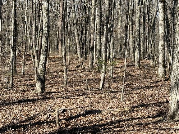4th image of 0 Timberwood Trce Lot 328