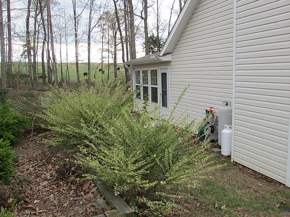View to back yard/pasture