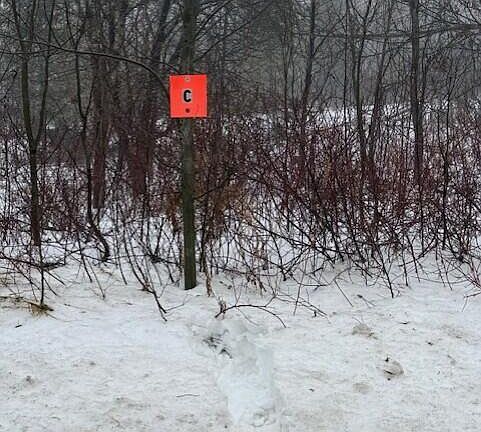 4th image of C McDonald Road