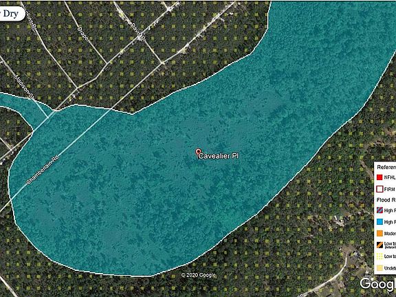 FEMA Flood Map - Positive