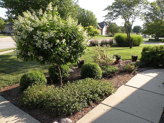 professional landscaping