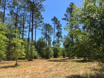 0 PROSPECT LANDING Road, Hilliard, FL, 32046